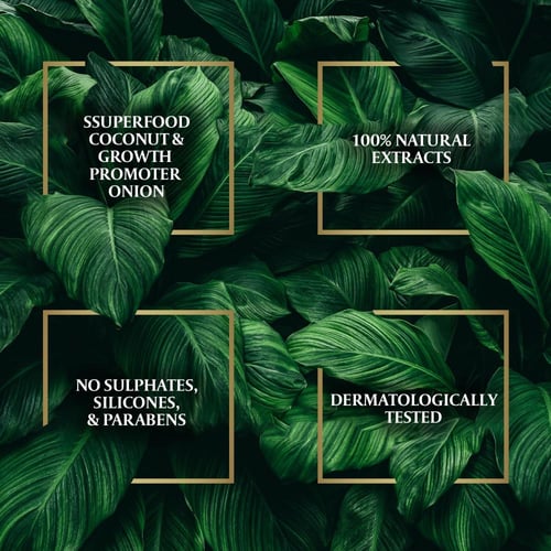 باراشوت أدفانسد زيت جوز الهند بالبصل للشعر ضد التس...