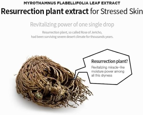 ماسك جيل مهدئ للبشرة I’m Sorry For My Skin – ترطيب...