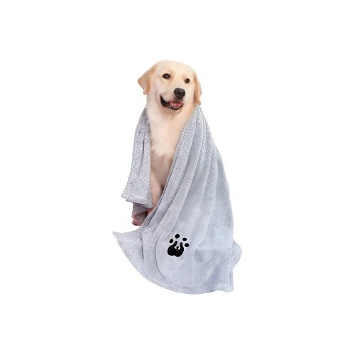 حلاقة كلب كبير