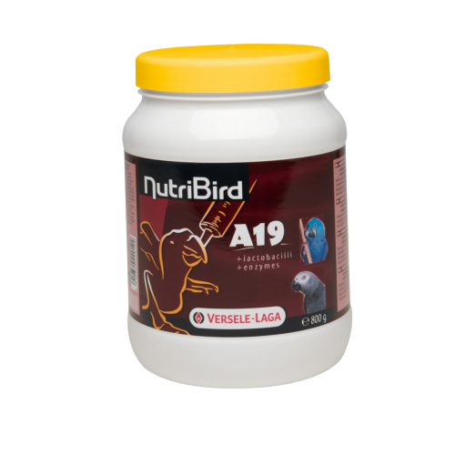 سيريلاك طيور A19