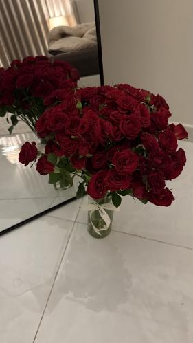 فازه ورد