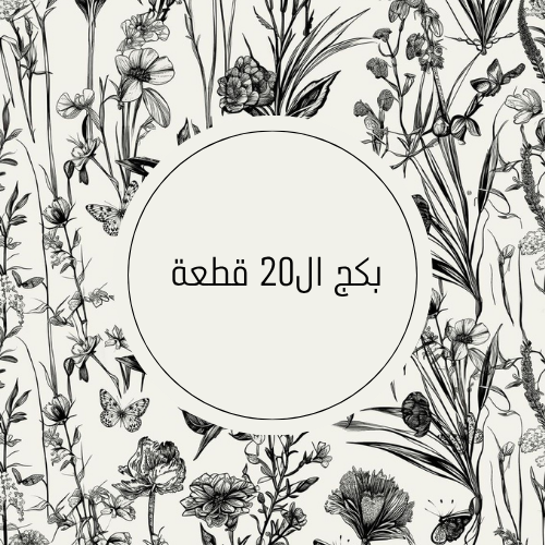 البكج الإقتصادي ( 20 كرت، 20 تاق ماء )