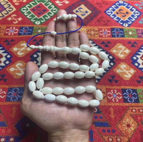 عظم جمل بيضاوي
