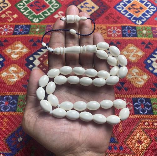 عظم جمل بيضاوي