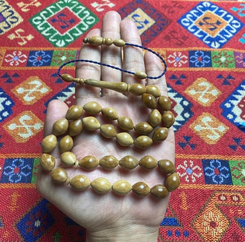 كوك تمليكة -كحلي