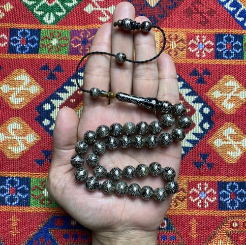 ظهر سلحفاة فضة