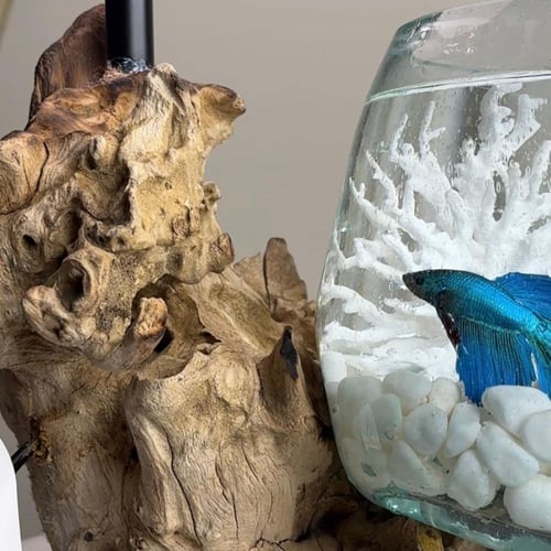 خشب طبيعي ١٠٠٪