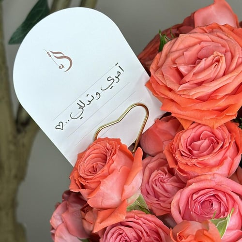 بكج انجل