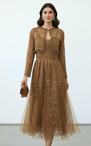 Brown Dress