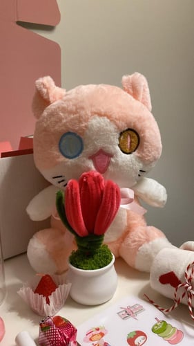 بوكس ستروبري والقطه