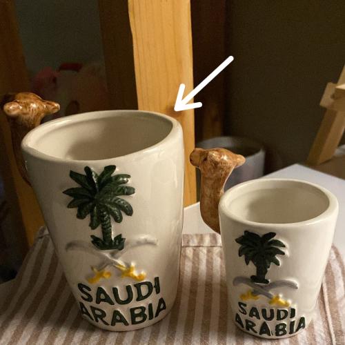 كوب الناقه وسط