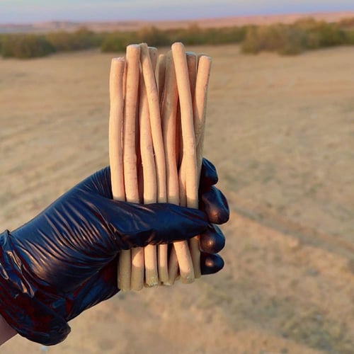 15 مسواك ابو حنش + حافظة + قطاعة ( ستيل )