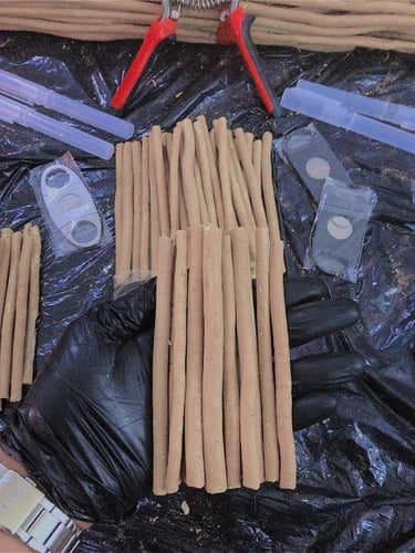 15 مسواك ابو حنش + حافظة + قطاعة ( ستيل )