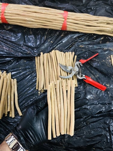 20 مسواك حنش حار وطازج