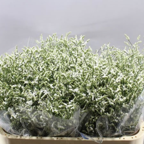 Lemon branch white
