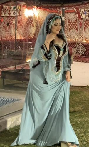 Dress with its veil
