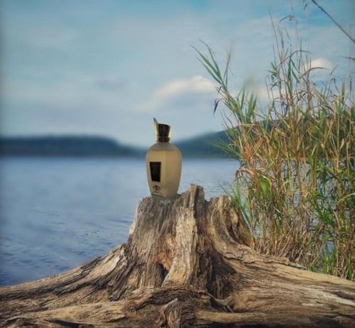 زيرجوف 1861 ريناسانس 100 مل