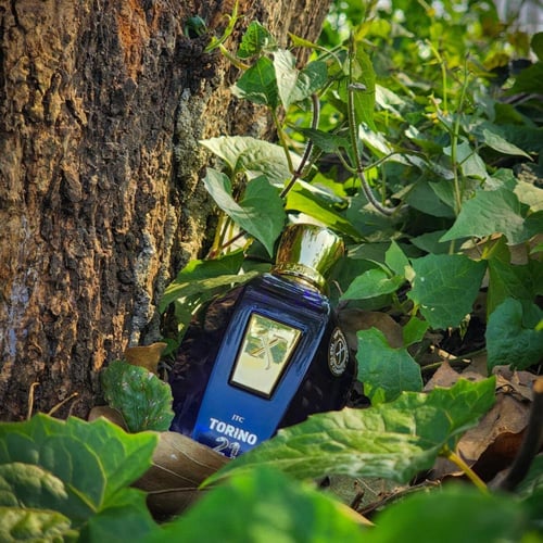 زيرجوف تورينو 21 - 100 مل