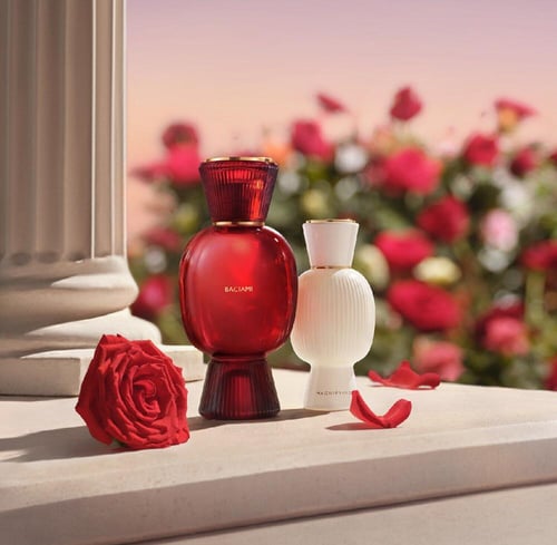 بولغاري اليجرا بشيامي 100 مل