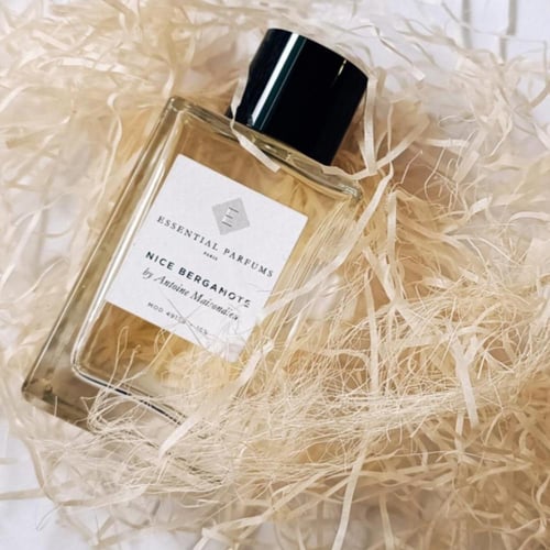 اسنشيال بارفيوم نايس برغموت 100 مل