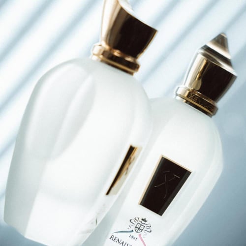 زيرجوف 1861 ريناسانس 100 مل