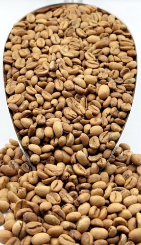 قهوة لقمتي رقم 1