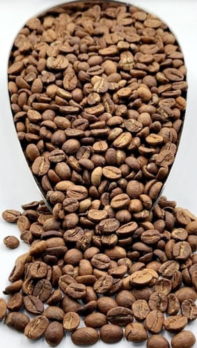 قهوة ام حبال المستنير