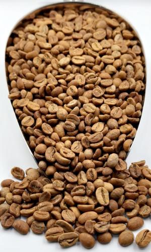 قهوة ام حبال المستنير