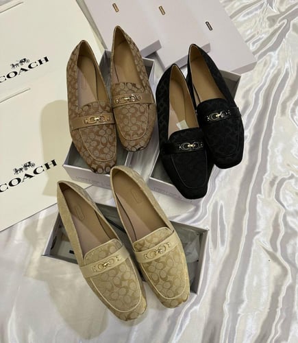 شوزات كوتش | شوزات ماركة