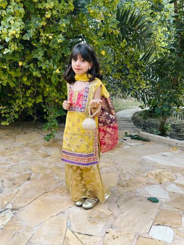 بنجابي شعاع الشمس