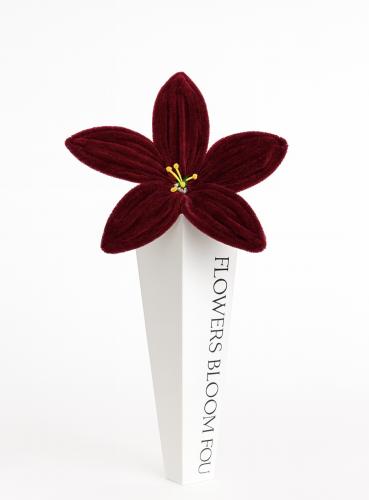 Lily flower