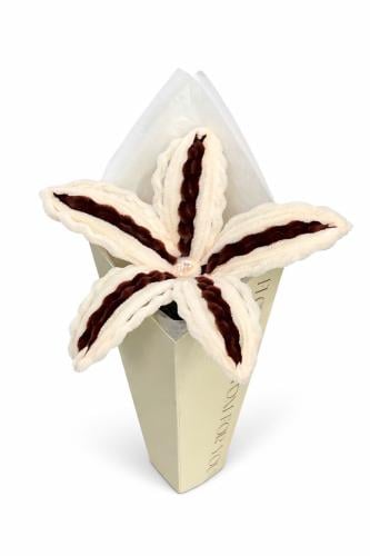 Lily flower