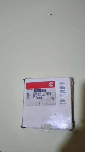 Genuine Cummins Oil Seal 3942535