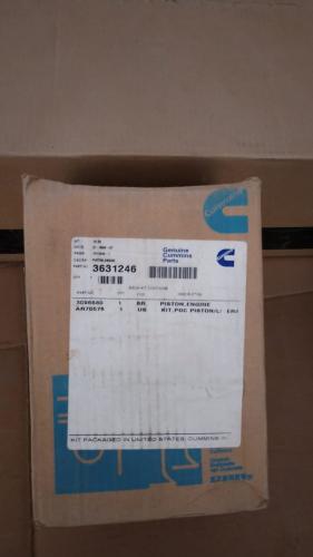 Genuine Cummins Piston 3631246