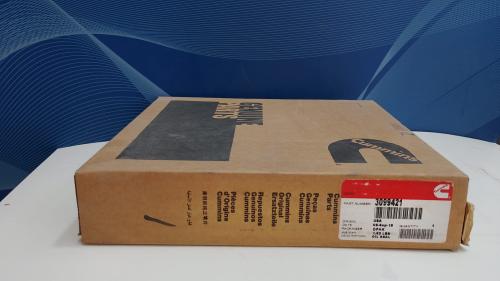 Genuine Cummins Oil Seal-D09 3099421