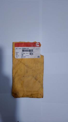 Genuine Cummins Shim Kit-D19 3800751