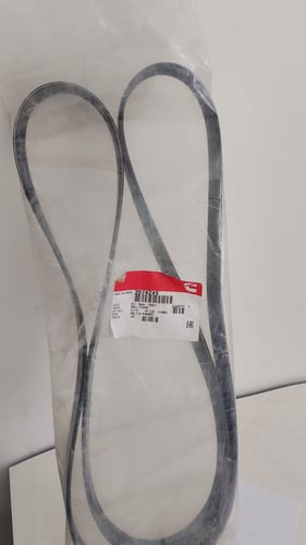 V Ribbed Belt 3974249
