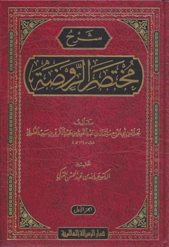 شرح مختصر الروضة 1\3