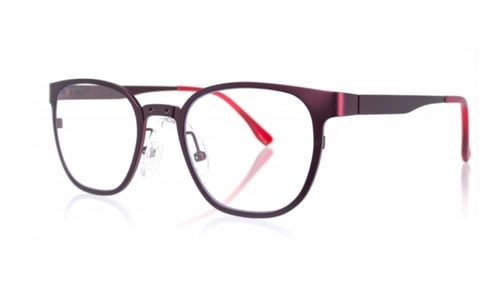 Customised GALILEO TTL Loupes (3.0x)