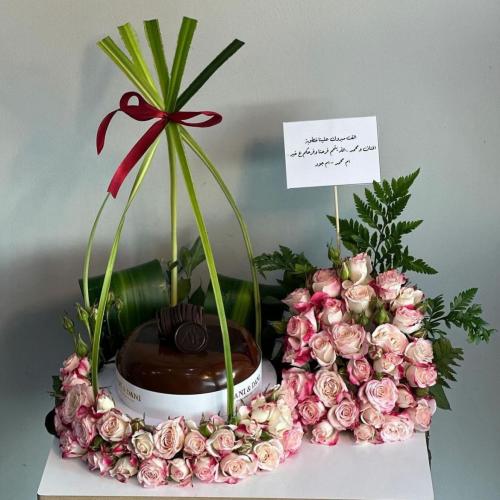 تنسيق كيكة اني وداني جلاكسي 1