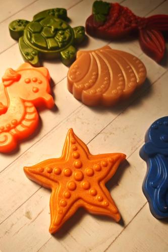 صابون أعماق البحر 6 قطع