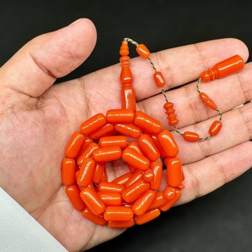 بولنق أمريكي جزري خراطة الزعيم