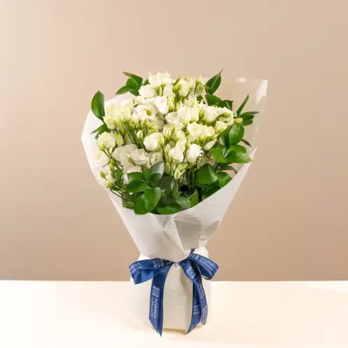 باقة لؤلؤة النقاء