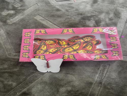 كرتون فراشة معلب ما تطير