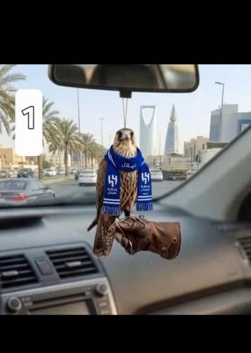 تعليقه سياره"صقر الهلال