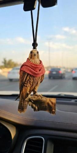 تعليقه صقر السياره
