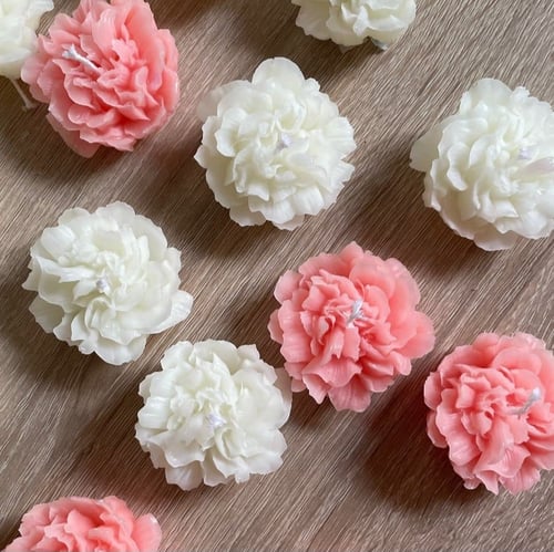 20 حبة من شموع زهرة القرنفل