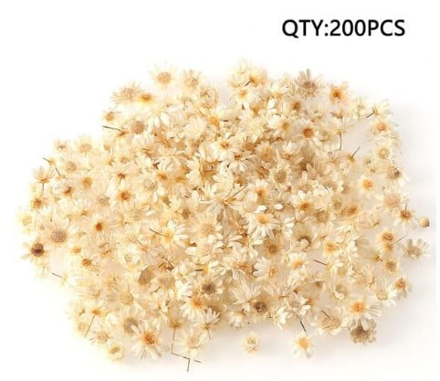 ورد اصفر مجفف