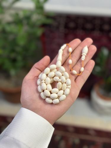 عظم جمل سوبر