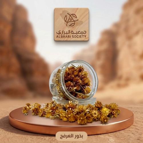 Desert thorn seeds